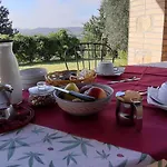 Pozzo Dei Cocci Morleschio