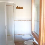Pozzo Dei Cocci * Morleschio