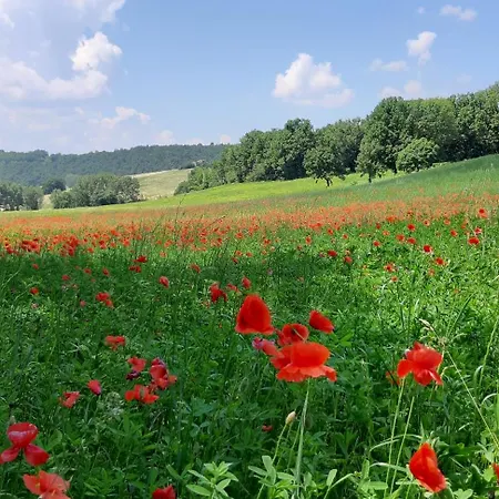 Alojamento de Turismo Rural Pozzo Dei Cocci